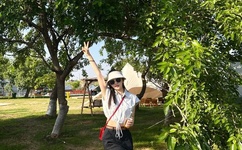 情断上海滩电影